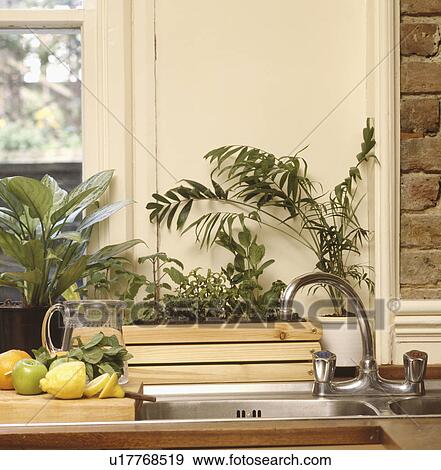 Stock Photo - Close-up of green houseplants in wooden planter beside kitchen sink. Fotosearch