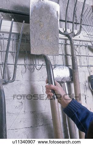 Stock Photo - Close-up of hand replacing garden spade on storage hooks on wall inside garden shed. Fotosearch