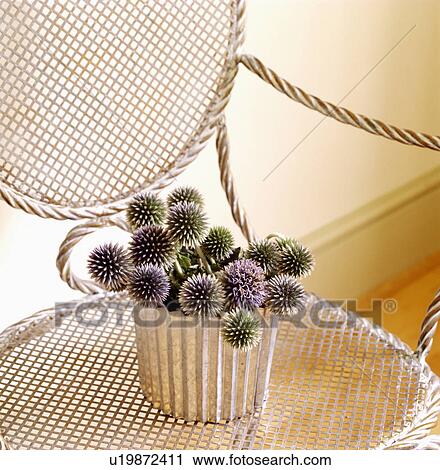Stock Image - Close-up of metal pot of eryngiums on metal chair. Fotosearch