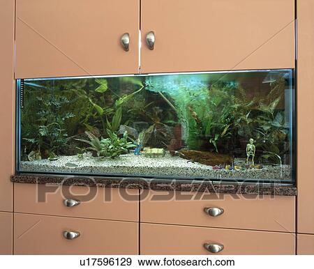 Close-up of modern aquarium View Large Photo Image Stock Photo - Close-up of modern aquarium . Fotosearch