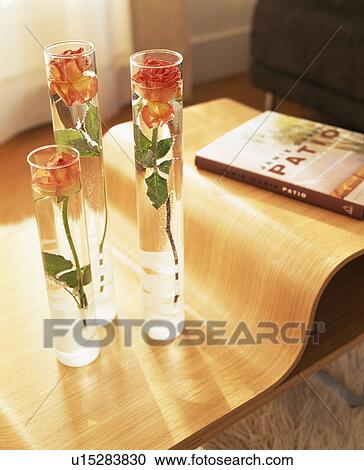 Close-up of orange roses in three cylindrical vases on moulded plywood table View Large Photo Image Stock Image - Close-up of orange roses in three cylindrical vases on moulded plywood table. Fotosearch