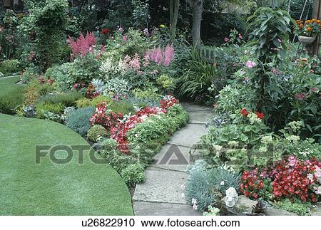 Stock Image - Close-up of pink astilbe and red begonias in tightly-packed beds on either side of paved path. Fotosearch
