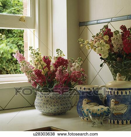 Stock Photo - Close-up of pink stocks in jug in front of window. Fotosearch