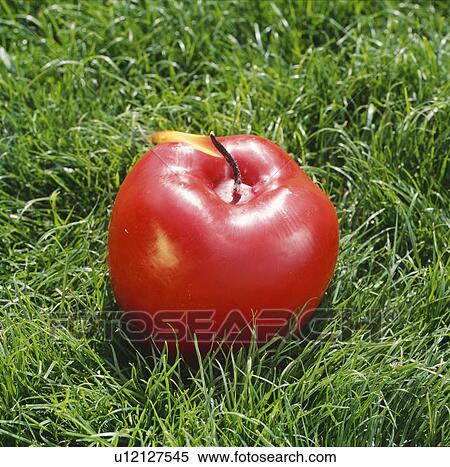Close-up of red apple-shaped candle View Large Photo Image Stock Photography - Close-up of red apple-shaped candle. Fotosearch