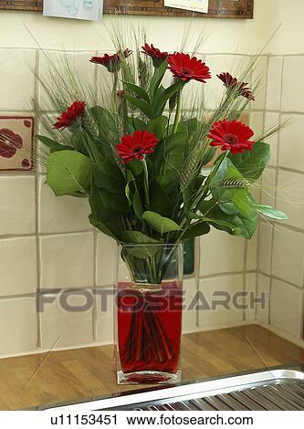 Close-up of red gerberas and green leaves in glass vase View Large Photo Image Stock Image - Close-up of red gerberas and green leaves in glass vase. Fotosearch