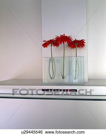 Stock Photograph - Close-up of red gerberas in modern glass vase. Fotosearch