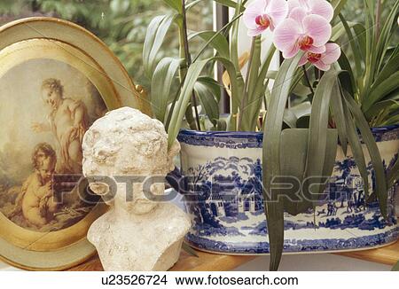 Picture - Close-up of sculpture head beside pink orchid in blue+white pot. Fotosearch