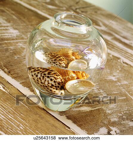 Close-up of seashells in conical glass vase View Large Photo Image Stock Photo - Close-up of seashells in conical glass vase. Fotosearch