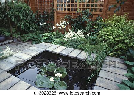 Stock Photograph - Close-up of small pond with paved edge in town garden with white lilies and astilbe. Fotosearch