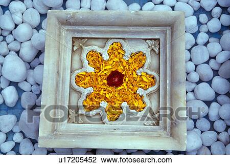Close-up of yellow marigold petals inside decorative Rajastani marble tile View Large Photo Image Stock Image - Close-up of yellow marigold petals inside decorative Rajastani marble tile. Fotosearch