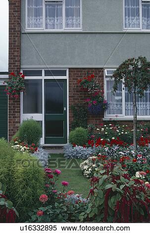 Stock Photography - Colourful summer flowering plants in front garden of sixties suburban house. Fotosearch
