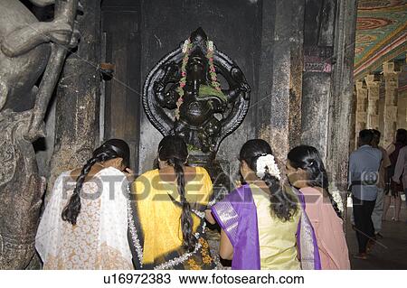 Female worshippers praying in front of a Ganesh shrine, Meenakshi Temple, Madurai, Tamil Nadu, India View Large Photo Image Stock Image - Female worshippers praying in front of a Ganesh shrine, Meenakshi Temple, Madurai, Tamil Nadu, India. Fotosearch