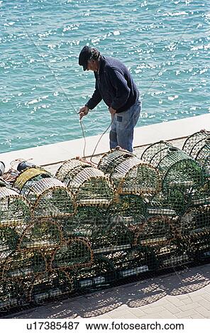 Stock Photo - fisherman with lobster pots by the sea in Portugal&#10;. Fotosearch