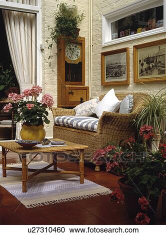 Stock Image - Geraniums in pot on cane table in front of wicker sofa in small living room extension. Fotosearch