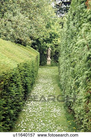 Stock Photo - Grass path between high clipped hedges in large country garden with classical statue on plinth at the end of the path. Fotosearch