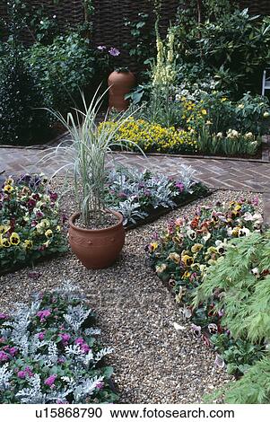 Stock Image - Grasses in terracotta pot on gravel with triangular beds of pansies in small garden with herrinbone brick path. Fotosearch