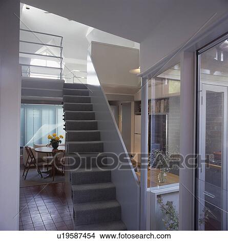 Picture - Grey carpet on open staircase in modern openplan hall dining room. Fotosearch