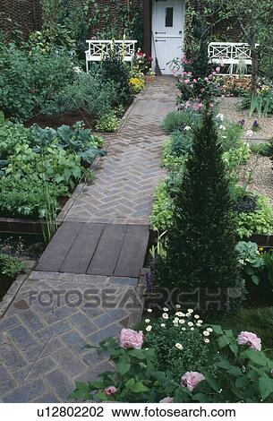 Stock Image - Herringbone brick path to white door and benches in small formal garden with herbs and pink roses. Fotosearch