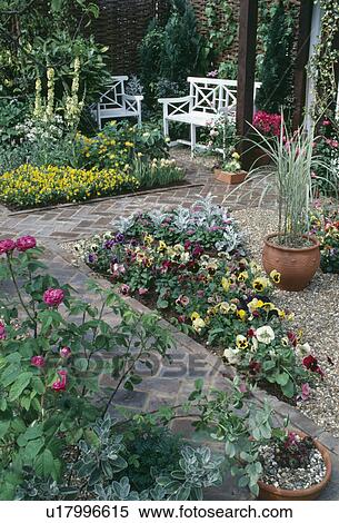 Stock Photography - Herringbone brick paths and white benches in small garden with pansies in triangular bed beside grasses in pot. Fotosearch