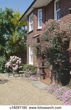 Stock Photography - Honeysuckle on traditional brick house with gravel drive. Fotosearch