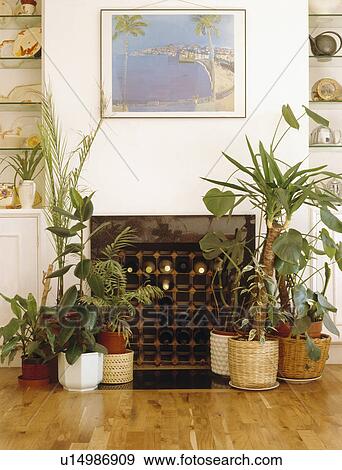 Stock Photo - Houseplants beside fireplace with wine storage. Fotosearch