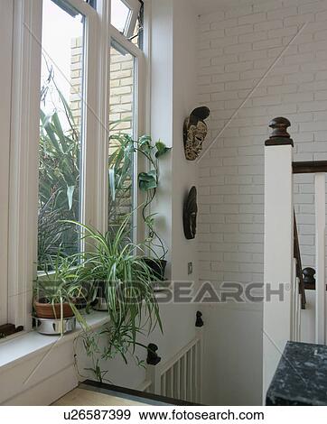 Houseplants on windowsill of modern white landing with with tiled wall View Large Photo Image Stock Photo - Houseplants on windowsill of modern white landing with with tiled wall. Fotosearch