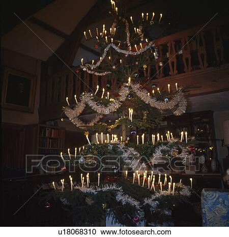 Large Christmas tree in country hall View Large Photo Image Stock Image - Large Christmas tree in country hall. Fotosearch