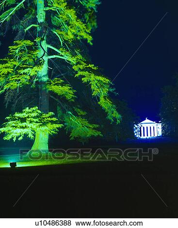 Stock Photo - Large tree illuminated with green light and temple lit at night. Fotosearch