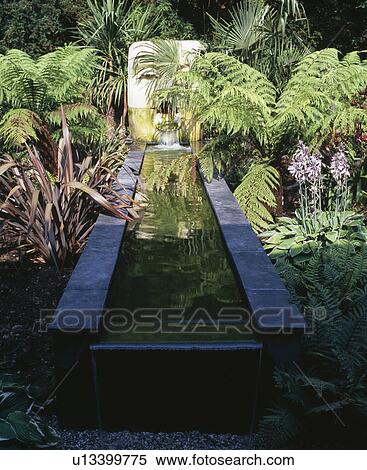 Stock Photography - Lush green ferns with phormium and hostas growing beside rectangular pool with sculptural water feature. Fotosearch