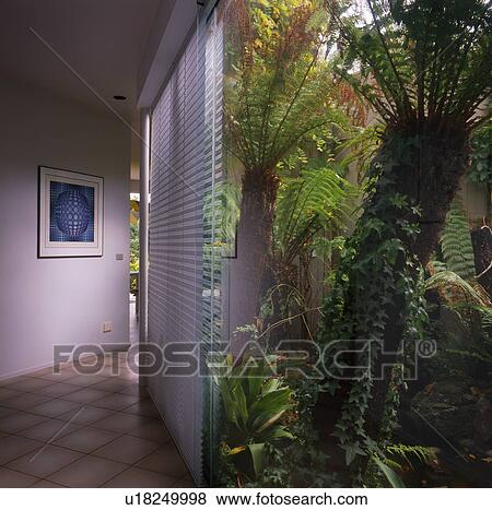 Lush green plants growing in atrium in modern white hall View Large Photo Image Stock Photo - Lush green plants growing in atrium in modern white hall. Fotosearch