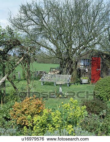 Stock Photograph - Old wooden bench below tree beside wooden shed in country garden in spring . Fotosearch