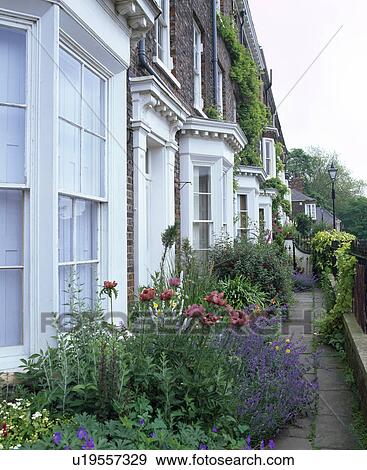 Stock Photo - Sideways view of pink poppies and blue salvias in small front garden of terraced Victorian house. Fotosearch