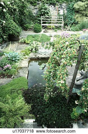 Stock Photo - Small rectangular pond in walled garden with white metal bench and green ground-cover. Fotosearch