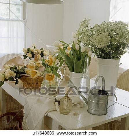 Spring flowers in white jugs on white dining table View Large Photo Image Stock Photograph - Spring flowers in white jugs on white dining table. Fotosearch