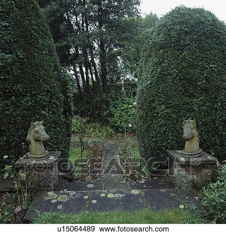 Stone horses' heads on plinths in front of large shrubs on either side of stone path in country garden on rainy day View Large Photo Image Stock Photo - Stone horses' heads on plinths in front of large shrubs on either side of stone path in country garden on rainy day. Fotosearch