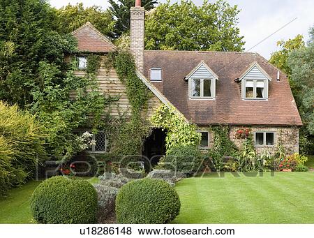 Stock Photo - Traditional house converted from sixties bungalow with mown lawn and clipped box shrubs. Fotosearch
