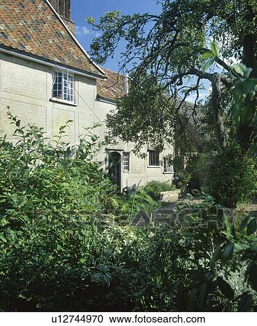 Stock Image - Untidy hedge in front of old country house. Fotosearch