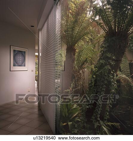 Stock Image - View of large green plants in atrium in modern white hall. Fotosearch