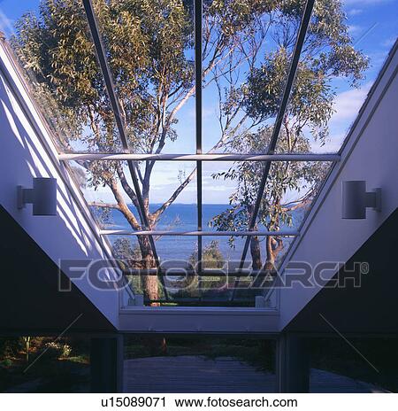 View of trees and the ocean through glass roof of modern hall View Large Photo Image Stock Image - View of trees and the ocean through glass roof of modern hall. Fotosearch