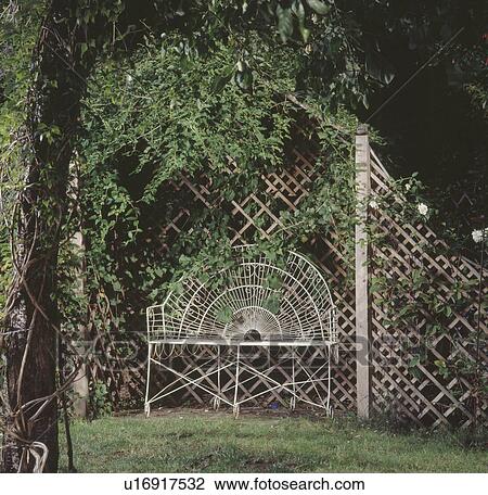 White metal bench in trellis arbour with climbing rose in country garden View Large Photo Image Stock Image - White metal bench in trellis arbour with climbing rose in country garden. Fotosearch