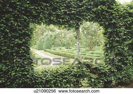 Stock Photograph - Window in clipped beech hedge with view of large formal country garden with low clipped box hedges. Fotosearch