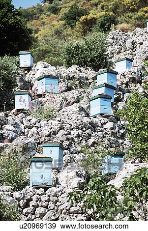 Stock Photo - Wooden beehives on rocky hillside in Kefalonia, Greece&#10;. Fotosearch