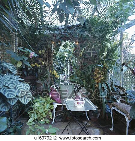 アル中 緑 植物 中に 温室 拡張 で 小さい 金属 テーブル そして 椅子 ストックイメージ U Fotosearch