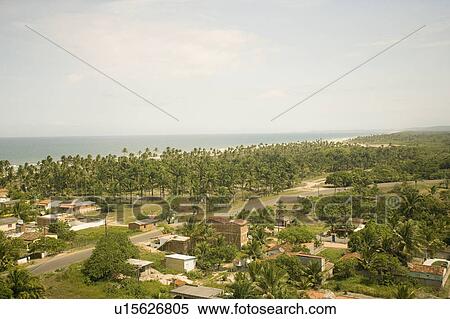 A sandy palm fringed beach in Brazil. View Large Photo Image Stock Photography - A sandy palm fringed beach in Brazil.. Fotosearch