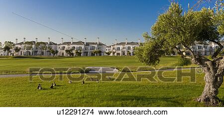 Picture - Arcos de la frontera Golf course Southern Spain. Fotosearch