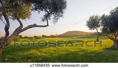 Arcos de la frontera Golf course Southern Spain View Large Photo Image Stock Image - Arcos de la frontera Golf course Southern Spain. Fotosearch