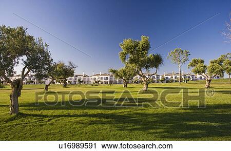 Stock Image - Arcos de la frontera Golf course Southern Spain. Fotosearch