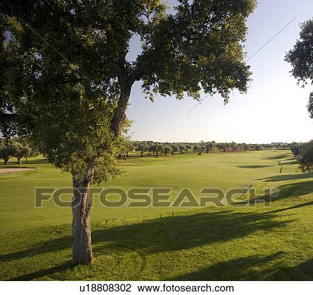 Stock Image - Arcos de la frontera Golf course Southern Spain. Fotosearch