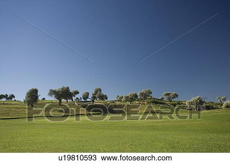Stock Image - Arcos de la frontera Golf course Southern Spain. Fotosearch