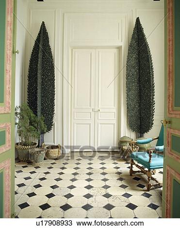Artificial trees on either side of door in white hall with black+white chequerboard floor View Large Photo Image Stock Image - Artificial trees on either side of door in white hall with black+white chequerboard floor. Fotosearch